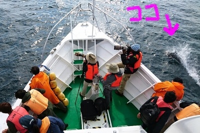 DSC_1415.jpg