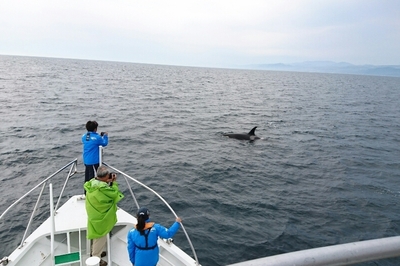 DSC_1637.jpg