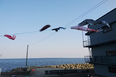 DSC_1750.jpg