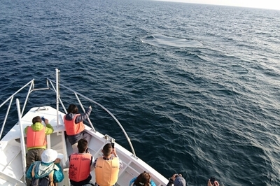 DSC_1834.JPG