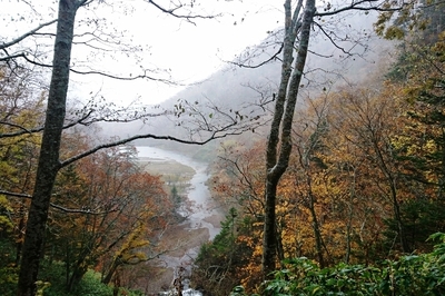 DSC_1900.JPG
