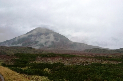 DSC_1906.JPG