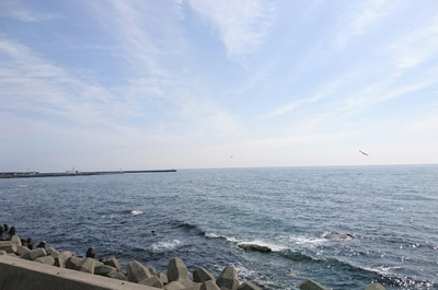 DSC_1986.JPG