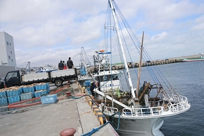 DSC_1993.JPG