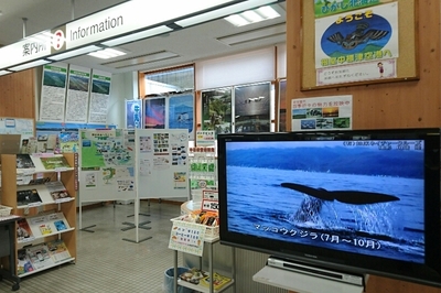 DSC_2011.JPG