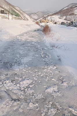 DSC_2701.JPG