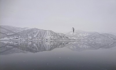 DSC_2766.JPG