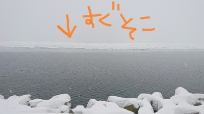 DSC_2818.JPG