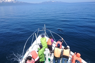 DSC_3011.jpg