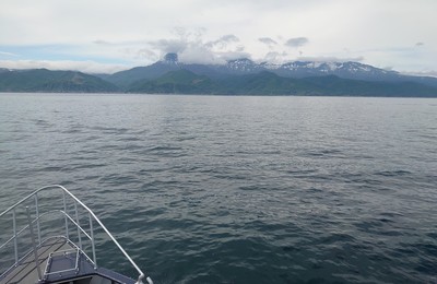DSC_3726.jpg