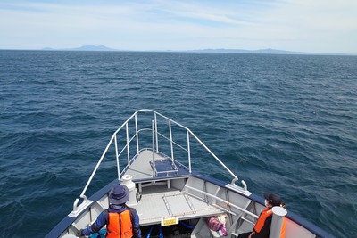 DSC_3775.jpg