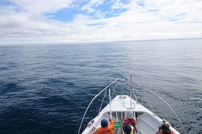 DSC_3783.jpg