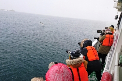 DSC_3783.jpg
