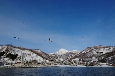 DSC_3917.jpg
