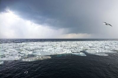DSC_3925.jpg