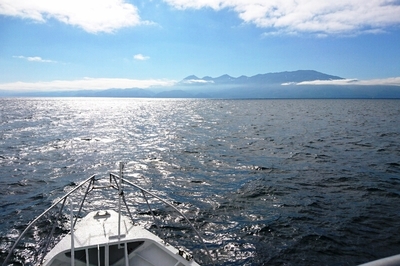DSC_4182.jpg