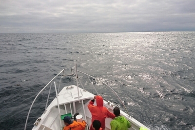 DSC_4185.jpg