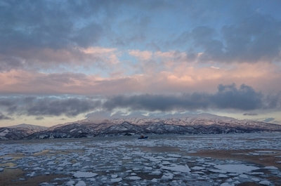 DSC_4517.jpg