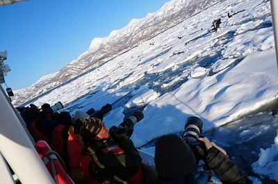DSC_4524.jpg