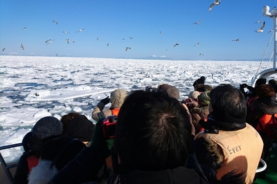 DSC_4737.jpg
