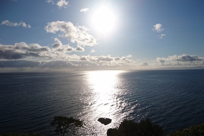 DSC_4875.jpg