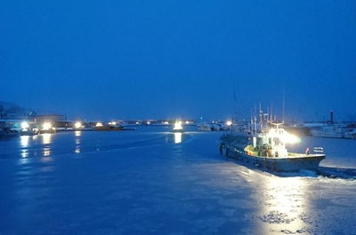 DSC_4885.jpg