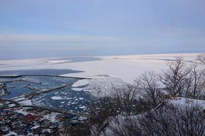 DSC_5048.JPG