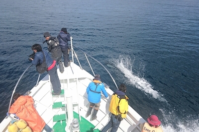 DSC_6565.jpg