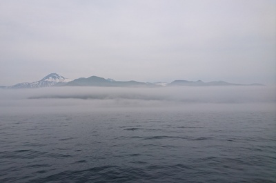 DSC_7095.jpg