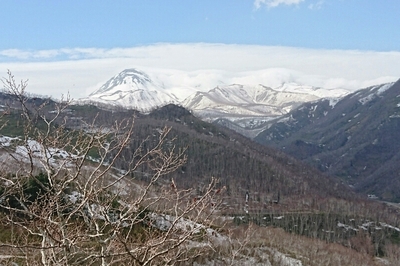 DSC_7202.JPG