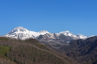 DSC_7403.jpg