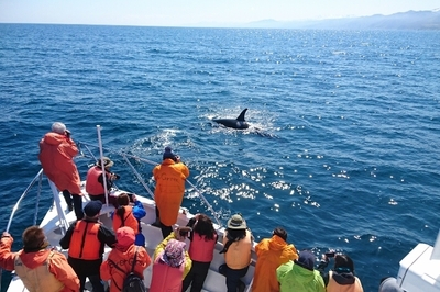 DSC_7509.jpg