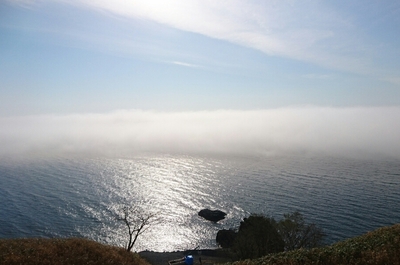 DSC_7538.jpg