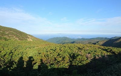 DSC_7974.jpg