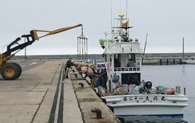 DSC_8123.jpg