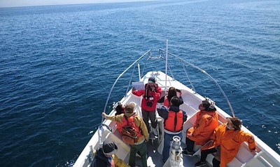 DSC_8324.jpg