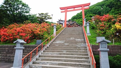 DSC_8338.jpg