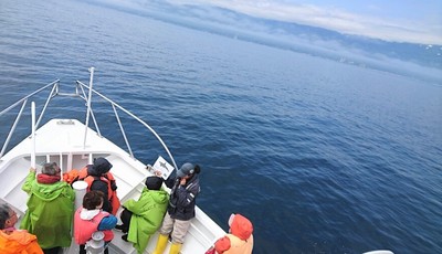DSC_8639.jpg