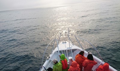 DSC_8706.jpg