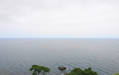 DSC_8724.jpg
