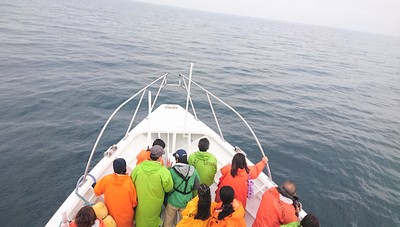 DSC_8786.jpg