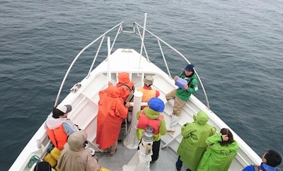 DSC_8945.jpg