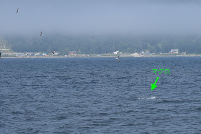 DSC_9700.JPG