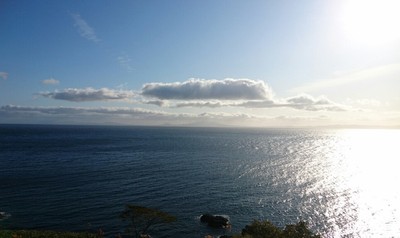 DSC_9703.JPG