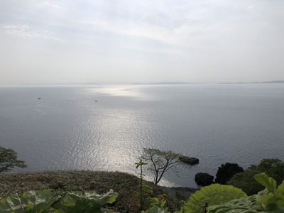 IMG-8256.jpg