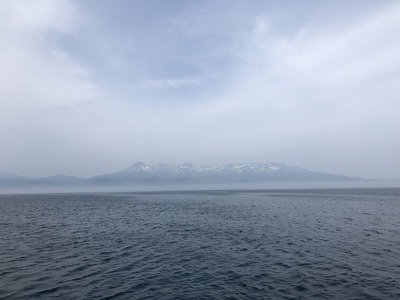 IMG-8258.jpg