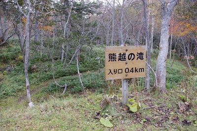 IMGP4776.jpg