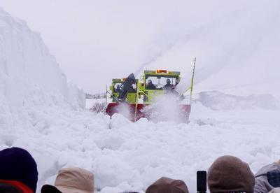 IMGP7646-thumbnail2.jpg