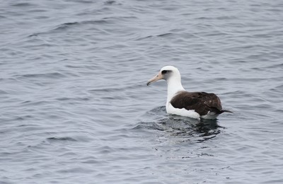 IMG_0023.jpg
