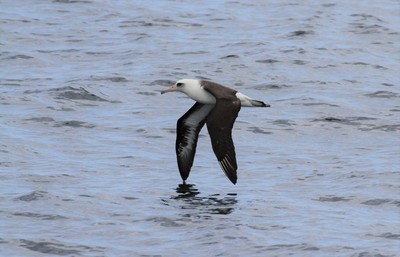 IMG_0284.jpg